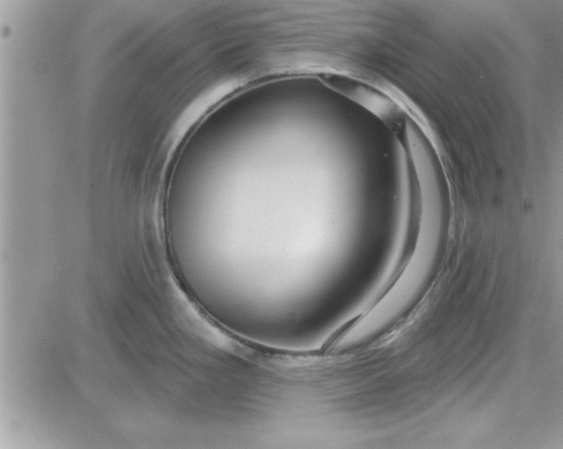 X0000081561293200701291140