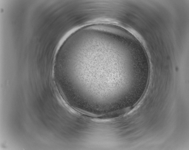 X0000081561296200701291140