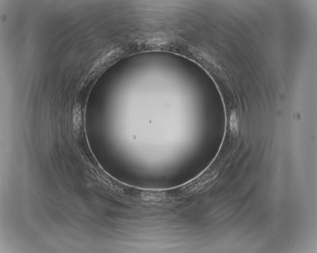 X0000081561299200701291139