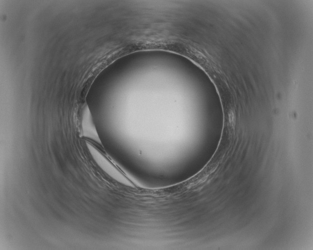 X0000081561300200701291139