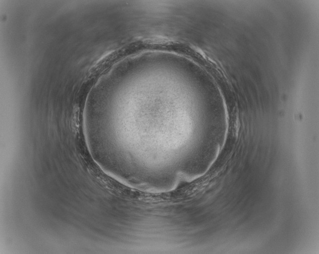 X0000081561301200701291139