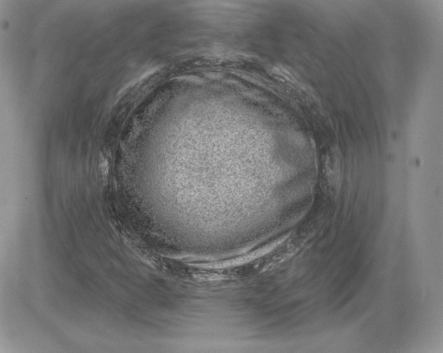 X0000081561302200701291139