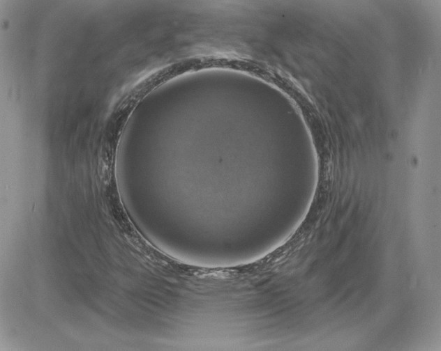 X0000081561303200701291139