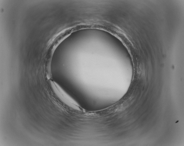 X0000081561304200701291139