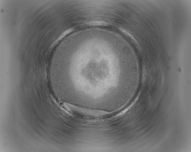 X0000081561305200701291139