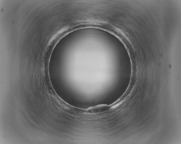 X0000081561307200701291139