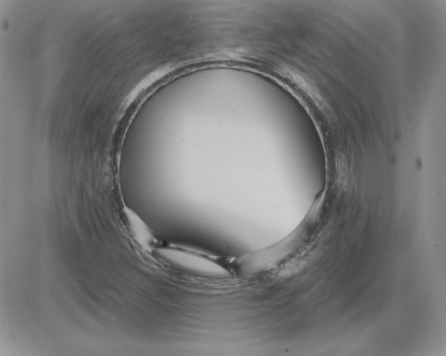 X0000081561308200701291139