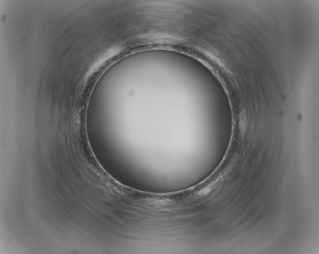 X0000081561309200701291139