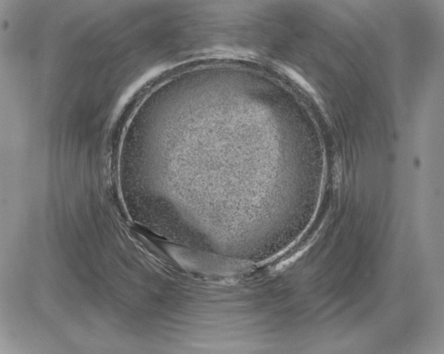 X0000081561310200701291139