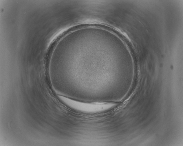 X0000081561311200701291139