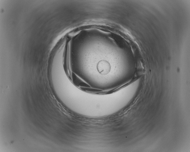 X0000081561312200701291139