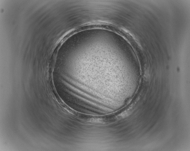 X0000081561313200701291140