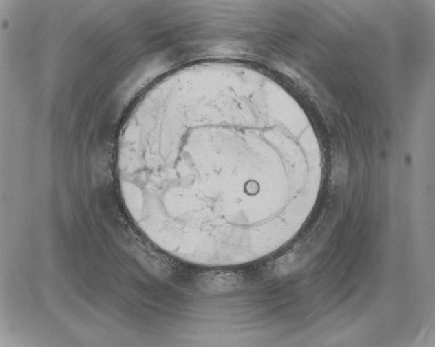 X0000081561314200701291140