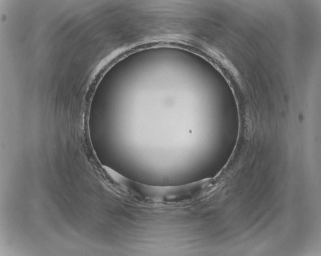 X0000081561316200701291140