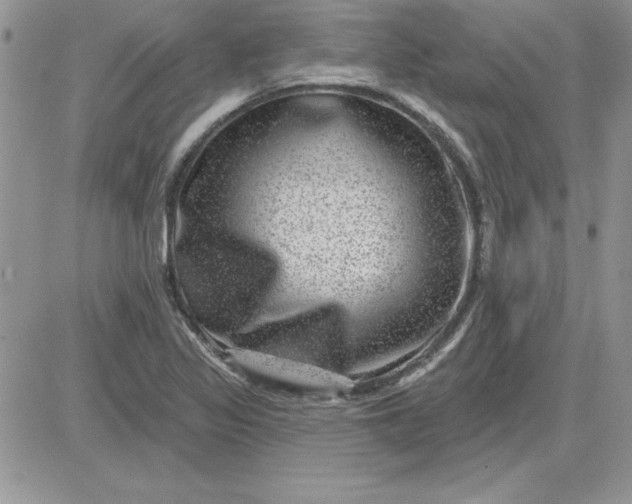 X0000081561317200701291140