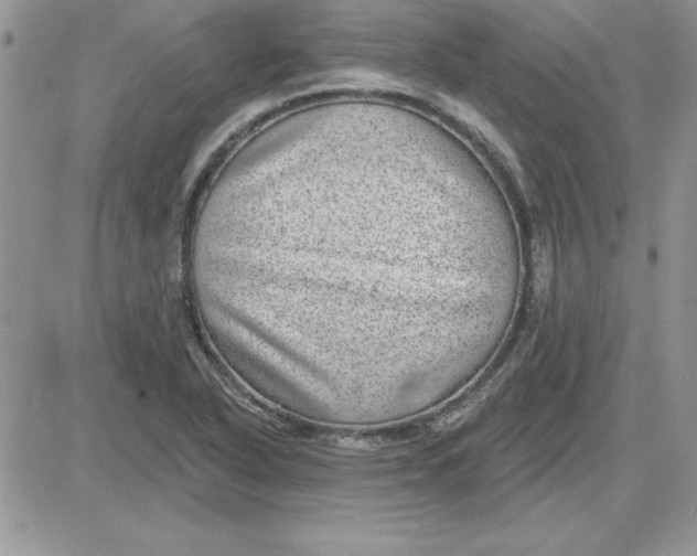 X0000081561318200701291140