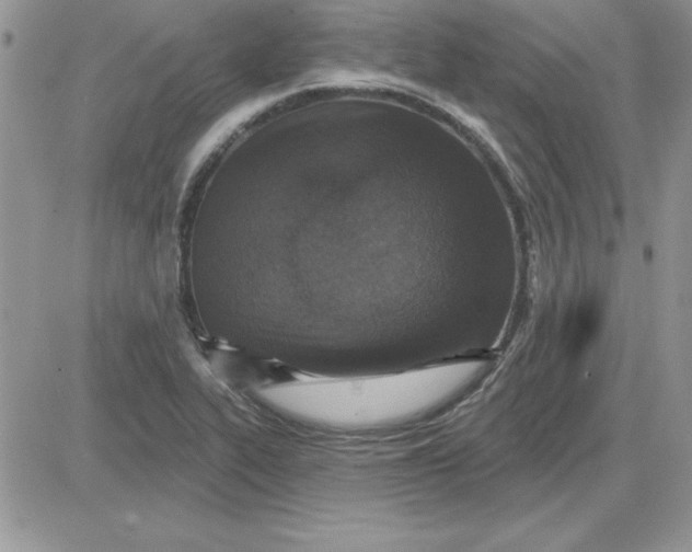 X0000081561319200701291140