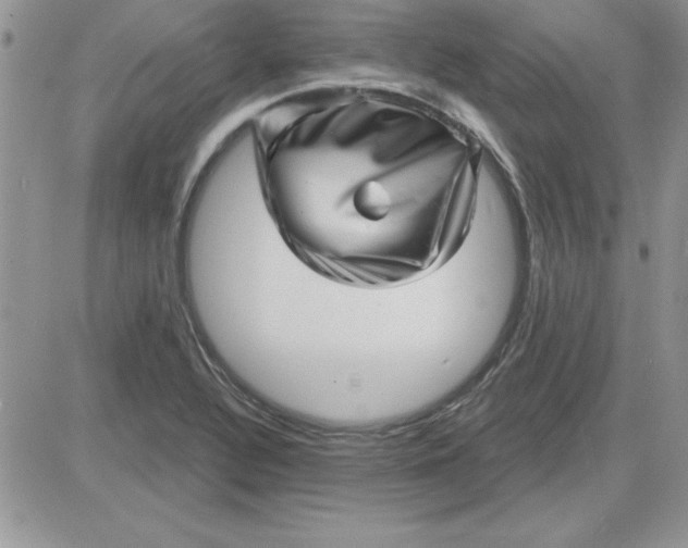 X0000081561320200701291140