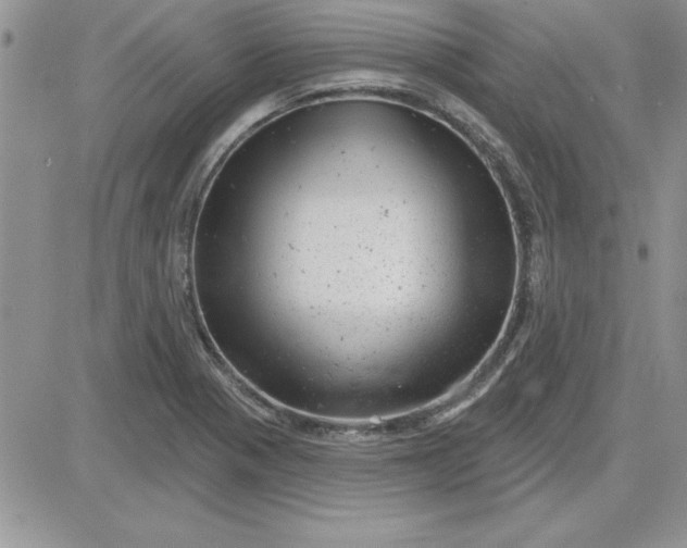 X0000081561321200701291140