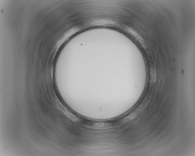 X0000081561322200701291140