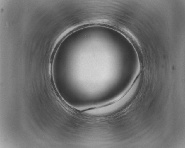 X0000081561324200701291140