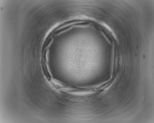 X0000081561326200701291140