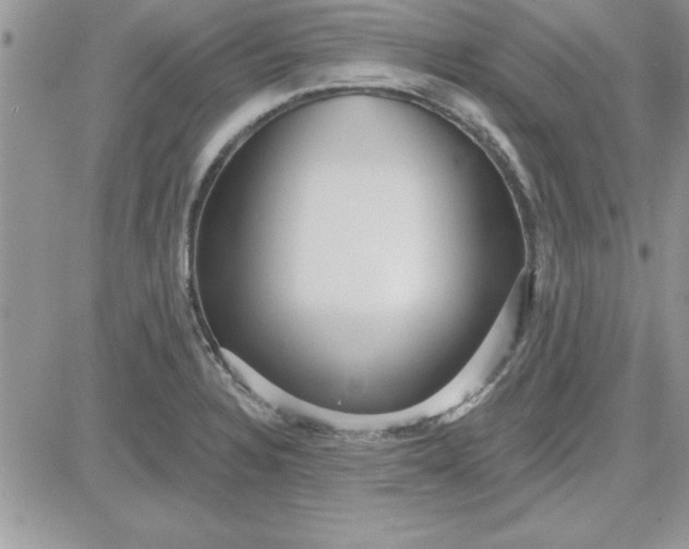 X0000081561328200701291140