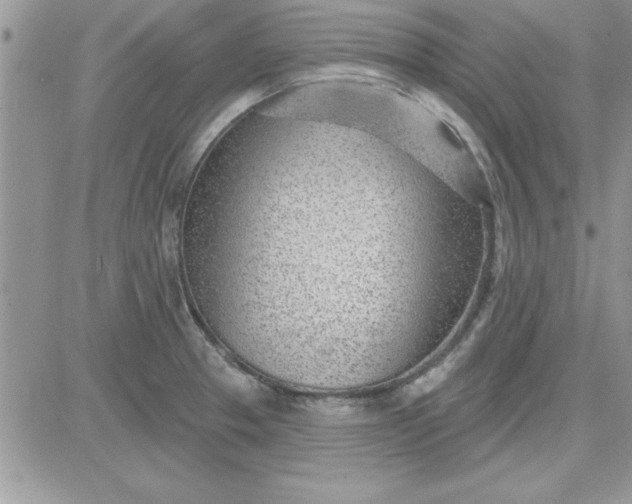 X0000081561329200701291140