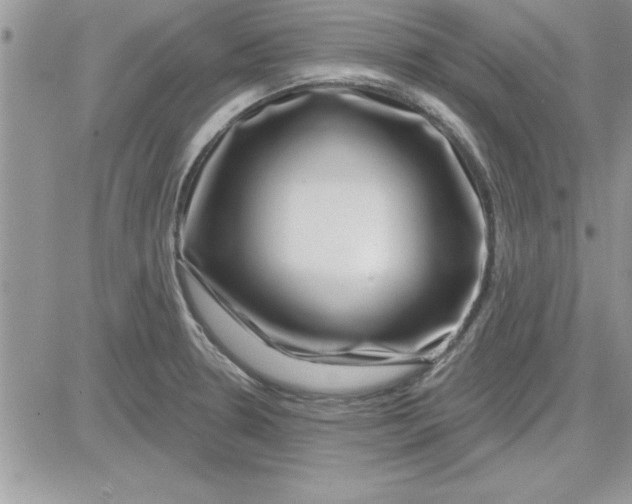 X0000081561330200701291140