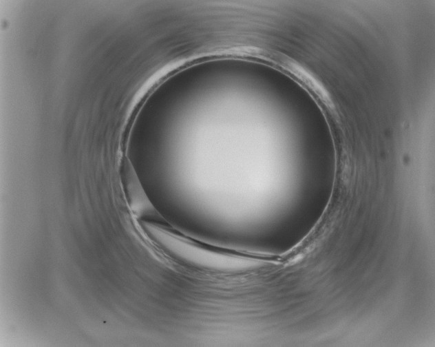 X0000081561332200701291140