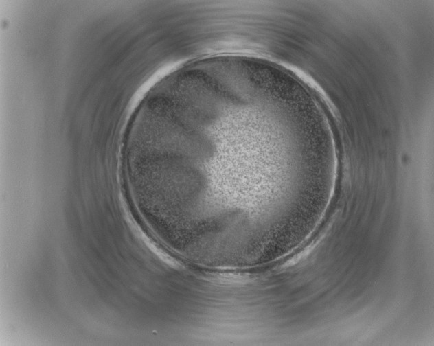 X0000081561333200701291140