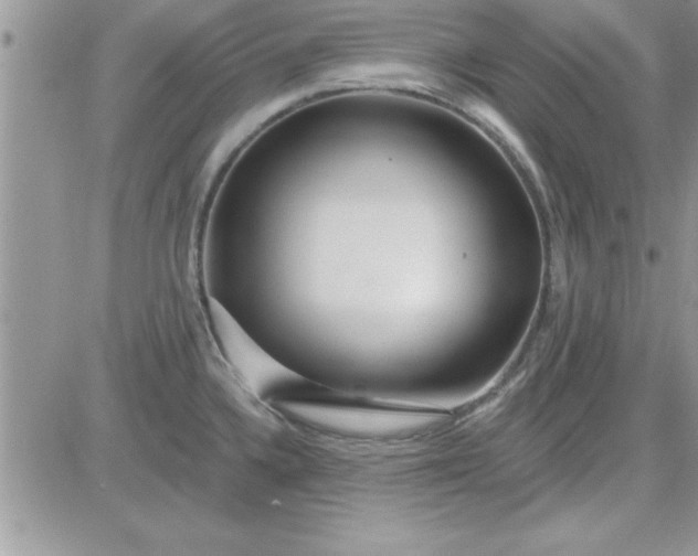 X0000081561336200701291140