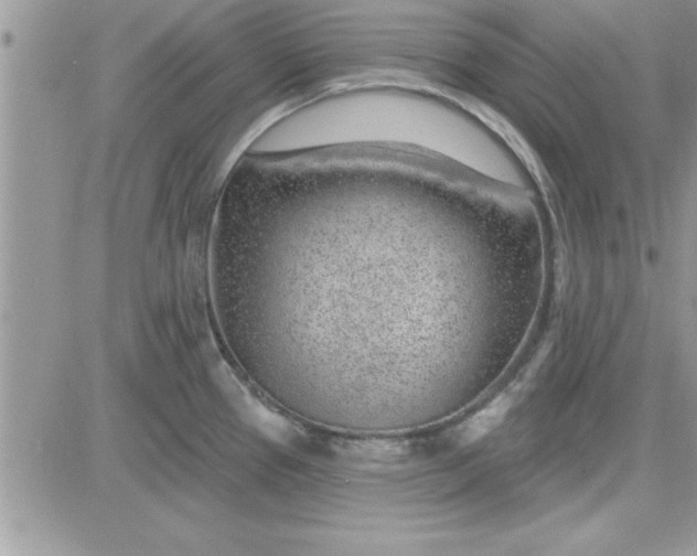 X0000081561337200701291140