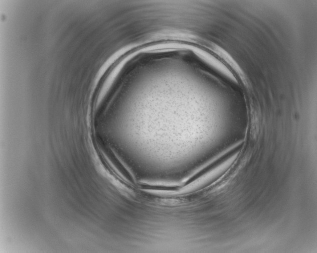 X0000081561339200701291140