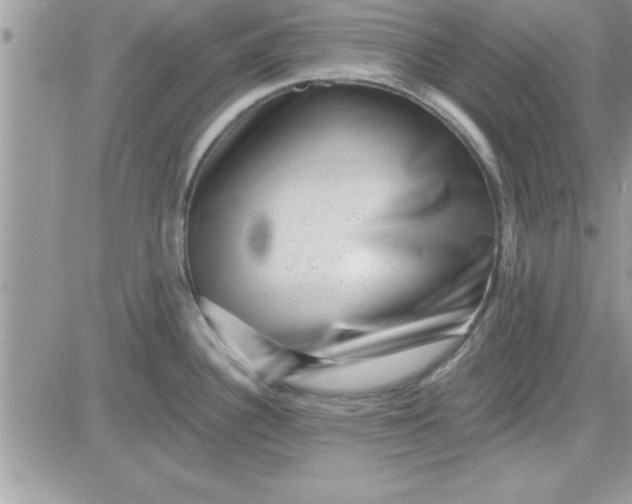 X0000081561340200701291140