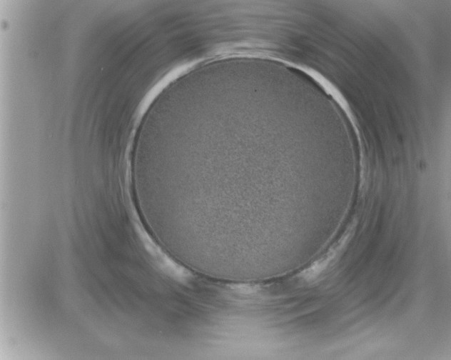 X0000081561341200701291140