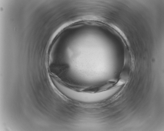 X0000081561342200701291140