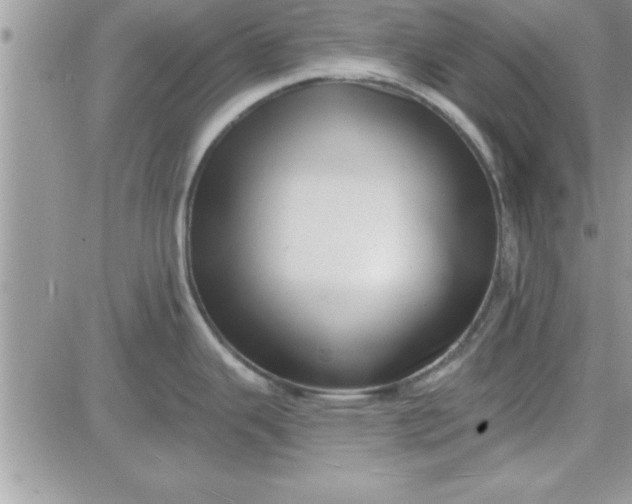 X0000081561343200701291140