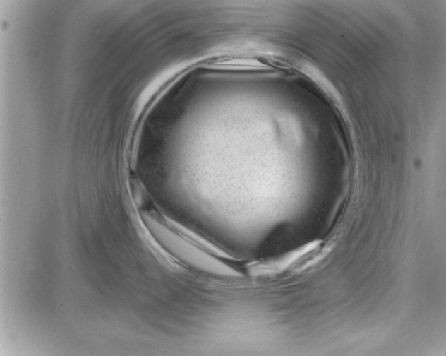 X0000081561344200701291140