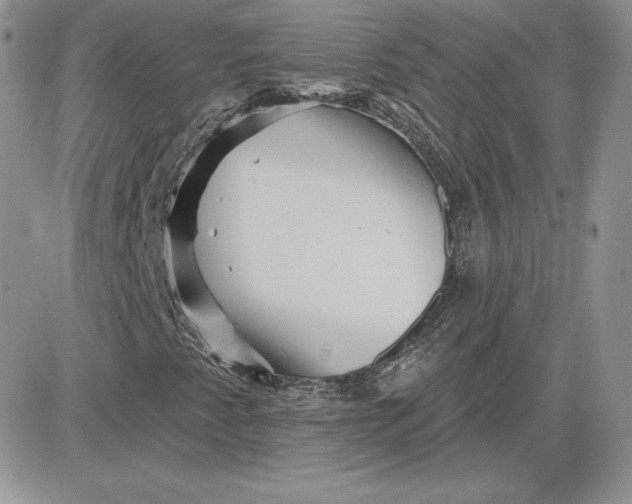 X0000081561345200701291139