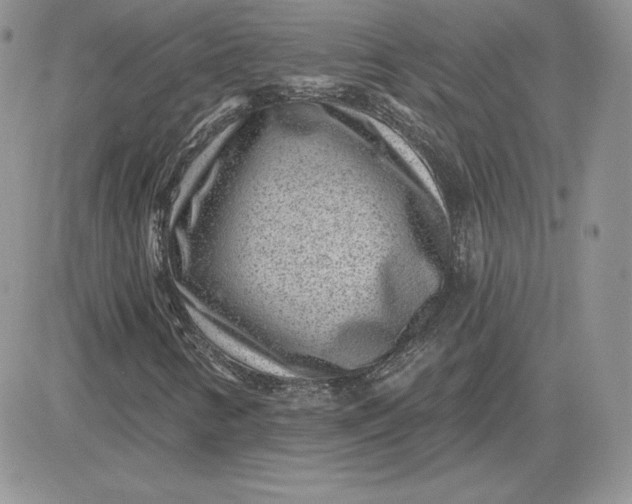 X0000081561346200701291139