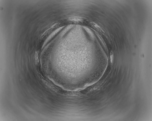 X0000081561347200701291139