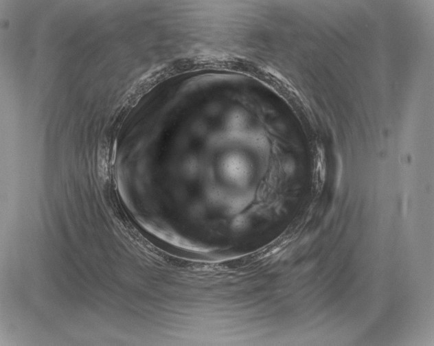 X0000081561348200701291139