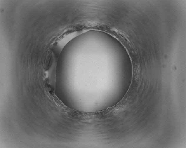 X0000081561349200701291139