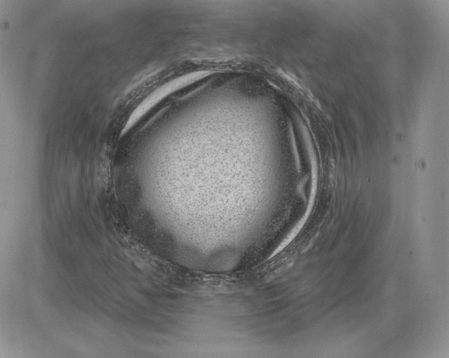 X0000081561350200701291139