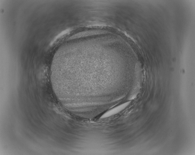 X0000081561351200701291139