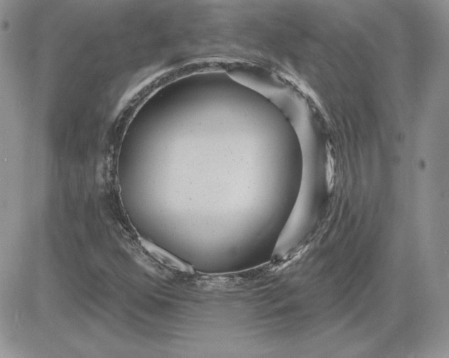 X0000081561352200701291139