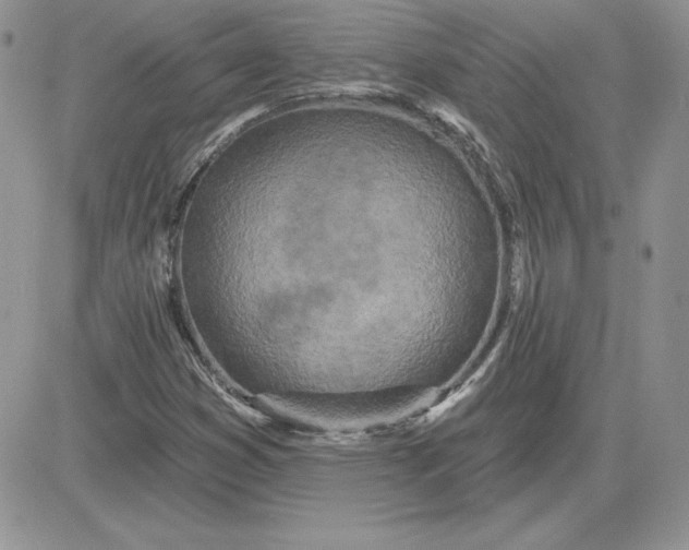 X0000081561353200701291139