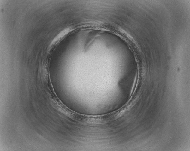 X0000081561354200701291139