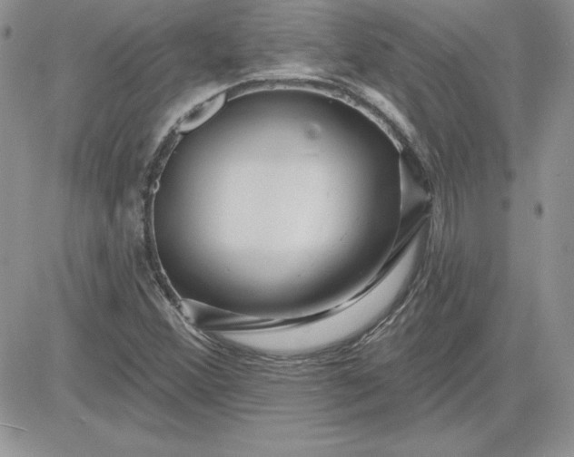 X0000081561356200701291139